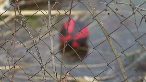 Concept of depressive mood, depression. Forgotten ball in garden idea of Stock-Footage 79049094