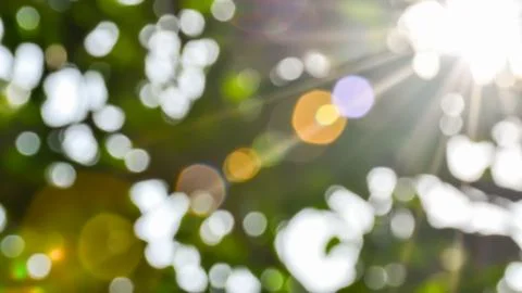 Concept for design blurred and defocused effect season. Daylight in outdoor.. Stock Photos