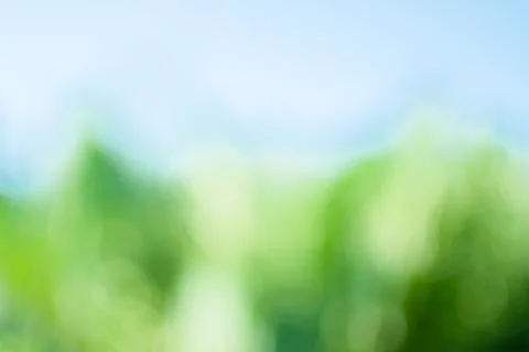 The concept for design blurred and defocused effect season. Abstract bokeh .. Stock Photos