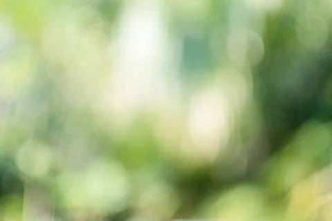 The concept for design blurred and defocused effect season. Abstract bokeh .. Stock Photos