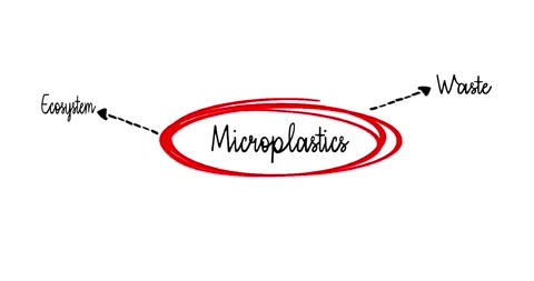 Concept Diagram Highlighting the Environmental Impact of Microplastics in Ecosys Stock Footage 304091423