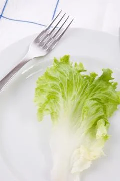 Concept for diet with a lettuce leaf on a dish. Stock Photos