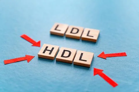 Concept of differentiation between LDL and HDL cholesterol Stock Photos