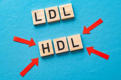 Concept of differentiation between LDL and HDL cholesterol Stock Photos