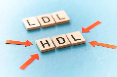 Concept of differentiation between LDL and HDL cholesterol Stock Photos