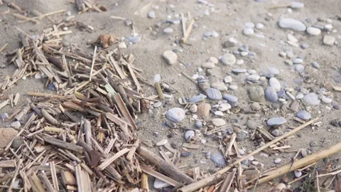 The concept of a dirty coastal beach line Stock Footage 224736278