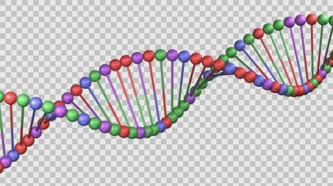 Concept: DNA molecule turn around. 3D rendering. Stock Footage 65792112