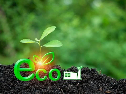 The concept of doing business for the environment. Creating a clean and fri.. Stock Photos