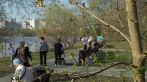 Concept early spring in the city park on the river bank. Concept healthy Stock-Footage 75920952