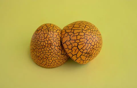 The concept of Easter. Brown toy open spotted egg on a yellow background Stock Photos