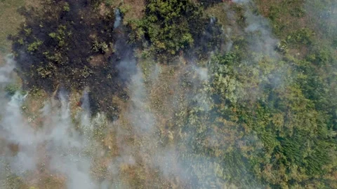 The concept of ecology, climate change. Clouds of smoke rise from underground Stock Footage 158811450