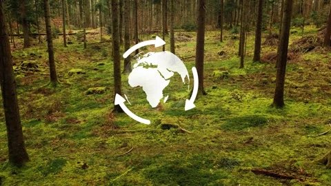 Concept ecology earth globe recycle arrows in the woods Stock Footage 338305613