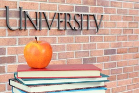 Concept of education Stock Photos