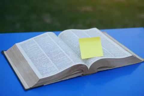 Concept, education. Stock Photos
