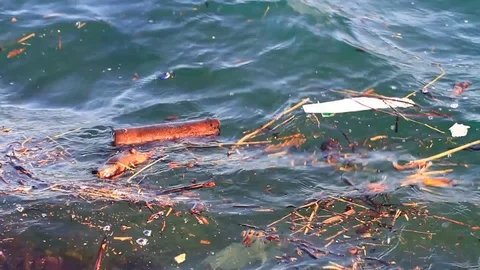 Concept of environmental pollution. Garbage floating in the water Polluted Water Stock Footage 78155738