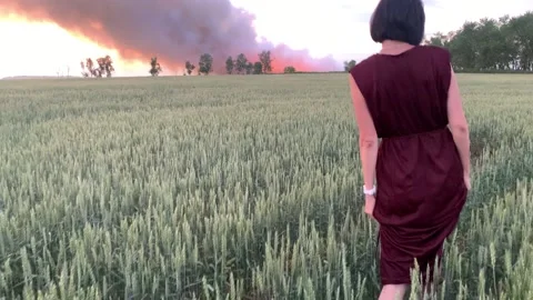 Concept of environmental pollution. Wildfire in nature. Stock Footage 201360014