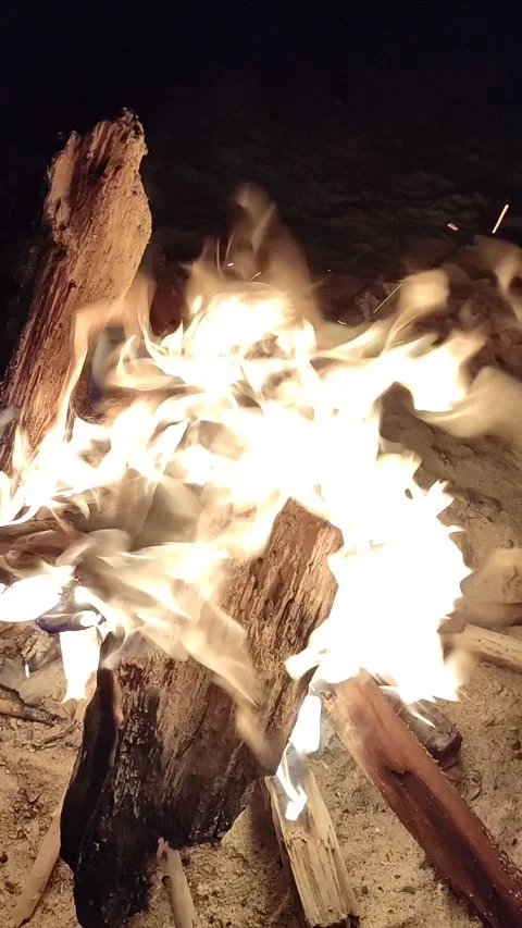 Concept of environmental pollution. Wildfire in nature. Stock Footage 201360022