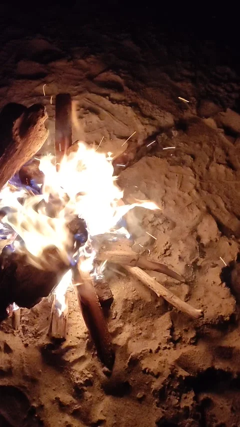 Concept of environmental pollution. Wildfire in nature. Stock Footage 201360027