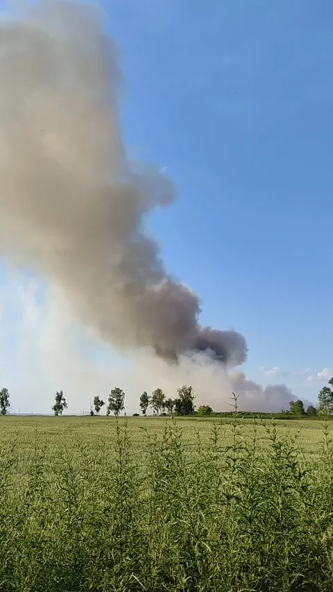 Concept of environmental pollution. Wildfire in nature. Stock Footage 201360035
