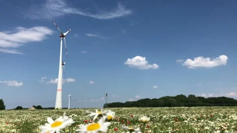 The concept of environmentally friendly electricity. Video stock 111806704