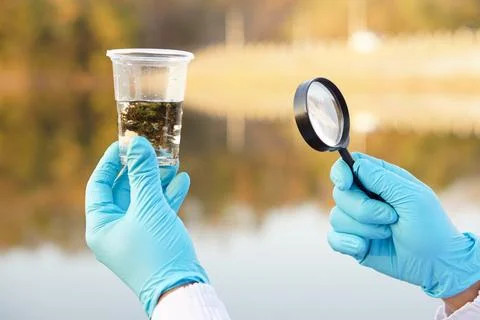 Concept, explore, inspect water quality Stock Photos