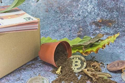 Concept, Fall of bitcoin. Bitcoin exchange rate decline. Impairment of Bitcoin Stock Photos