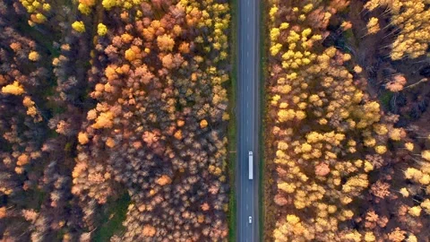 The concept of fast and timely delivery of products. cargo insurance. Several Stock Footage 163694033