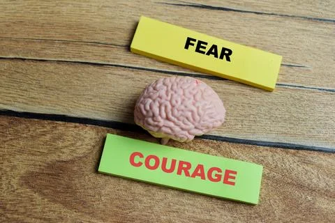 Concept of fear and courage write on sticky notes with human brain model Stock Photos