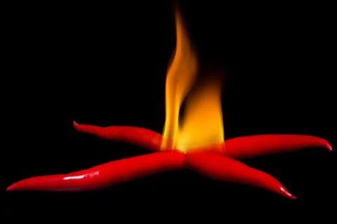 Concept fire of chili. Stock Photos