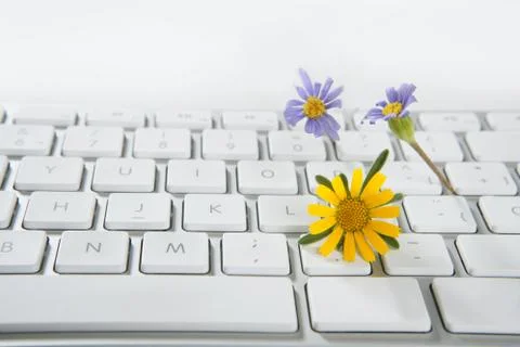 Concept of flowers growing from computer Stock Photos