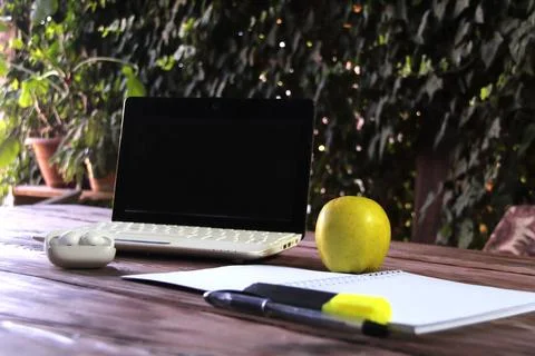 The concept of freelancing, studying from home. Fotos de archivo