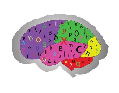 The concept of the functioning of the brain 스톡 일러스트