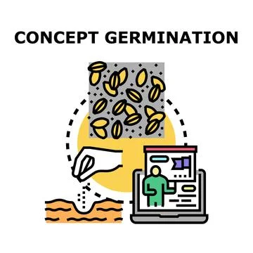 Concept germination idea development process icon illustrating growth Stock Illustration