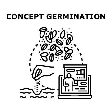 Concept germination idea development process icon illustrating growth Stock Illustration