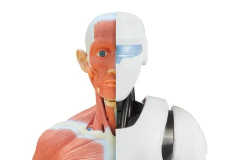 Concept of a half man half robot cyborg person Stock Photos