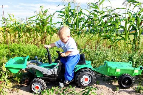 The concept of harvesting. Stock Photos