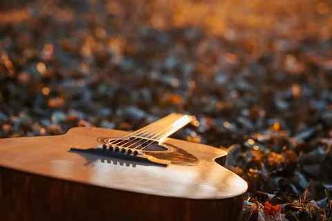 Concept of having a good time in nature, playing music and relaxing Stock Photos