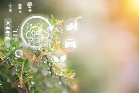 Concept of helping to reduce CO2 emissions to alleviate global warming and .. 스톡 사진