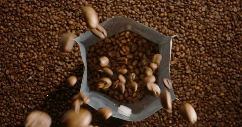 Concept of high quality premium arabica grain for instant coffee sort selected Stock Footage 240314770
