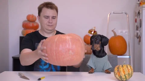 The concept of home producing Jack O Lantern. Young handsome man with his cut Stock Footage 133440134