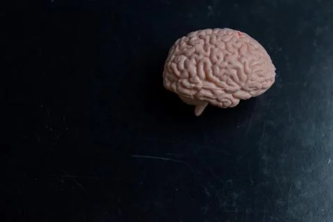 Concept of human brain model on book isolated on Wooden Table. Foto stock