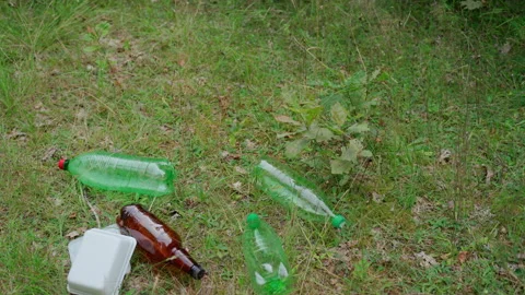 Concept of human forest pollution. Terrible dump in the woods Stock Footage 158119466