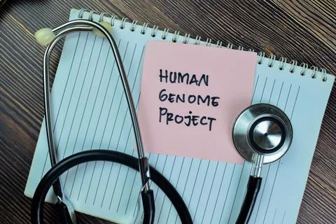 Concept of Human Genome Project write on sticky notes Stockfoto's