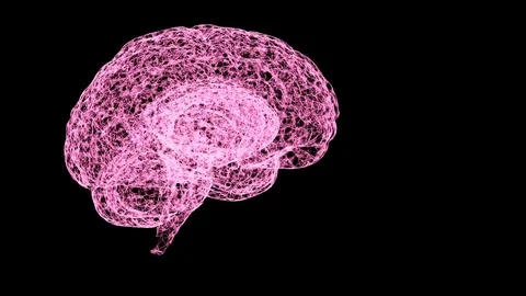 Concept of human intelligence. Abstract pink model of human brain on turning Stock Footage 121809165