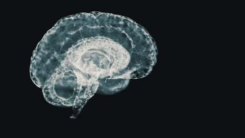 Concept of human intelligence. Abstract white model of human brain on turning Stock Footage 121798428