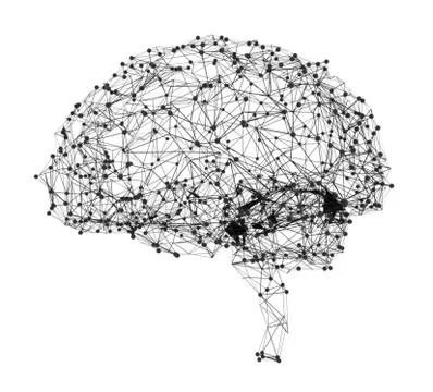 Concept of human intelligence with human brain Illustrazione stock