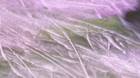 Concept Ice and Snow, Winter Healthy Lifstyle. Many Skates Pass by Close-up. Video stock 70529591
