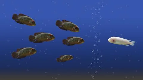Concept illustration is alien. a flock of fish looks at a stranger Stock Illustration