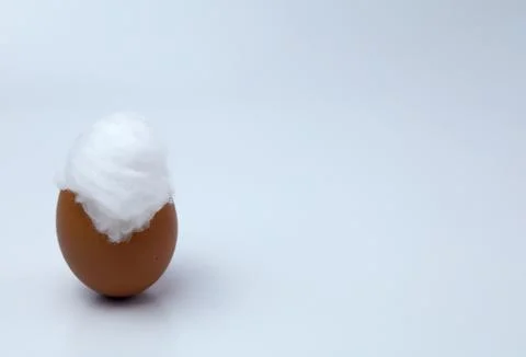 Concept image of cracked chicken eggshell with soft cotton balls inside egg.. Foto stock