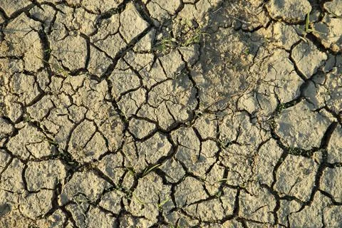 Concept image of global warming. Stock Photos